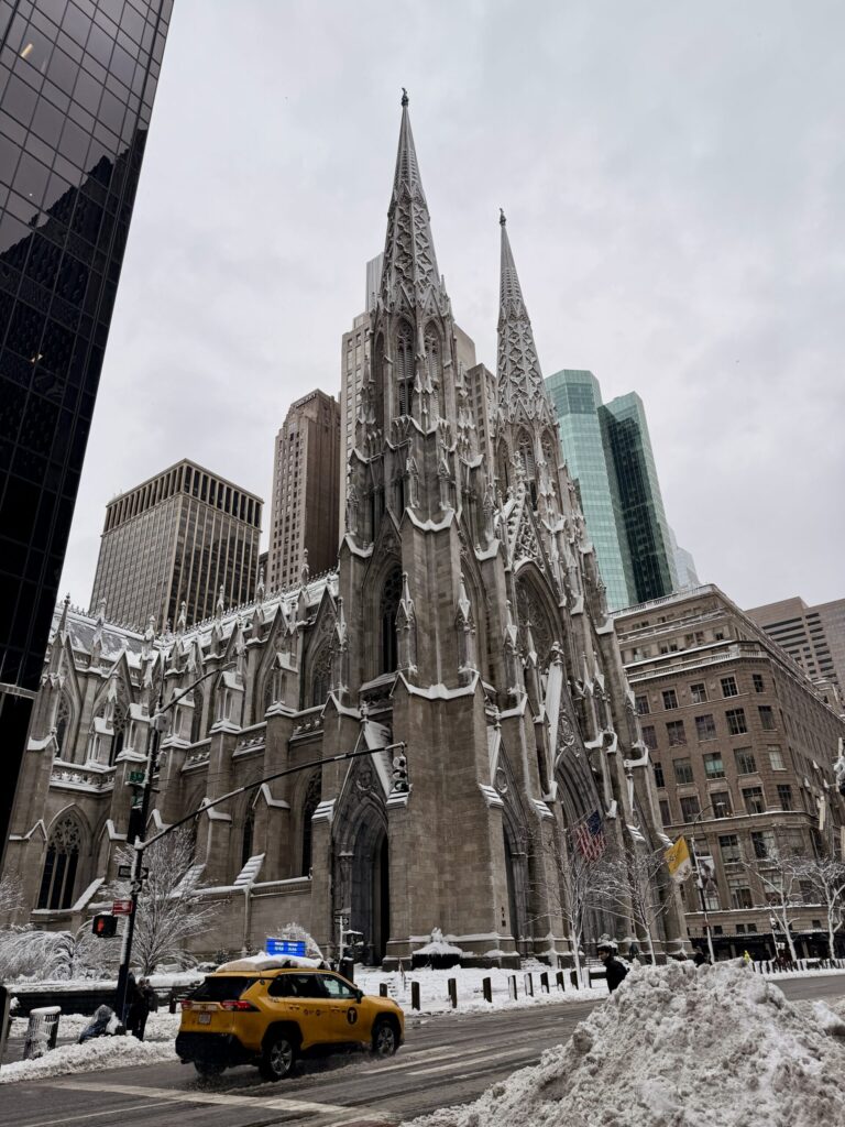 Top Luxury Hotels in NYC | Where to stay in NYC | Best neighborhood to stay at in New York City | Best hotels in New York City | What is the best luxury hotel at a reasonable price to stay at in NYC | Recommended neighborhoods to stay at in Manhattan | Best hotel in Manhattan for Christmas time visits | Where to stay in the Lower East Side of Manhattan | Where to stay in downtown Manhattan | Best luxury hotels in SOHO 