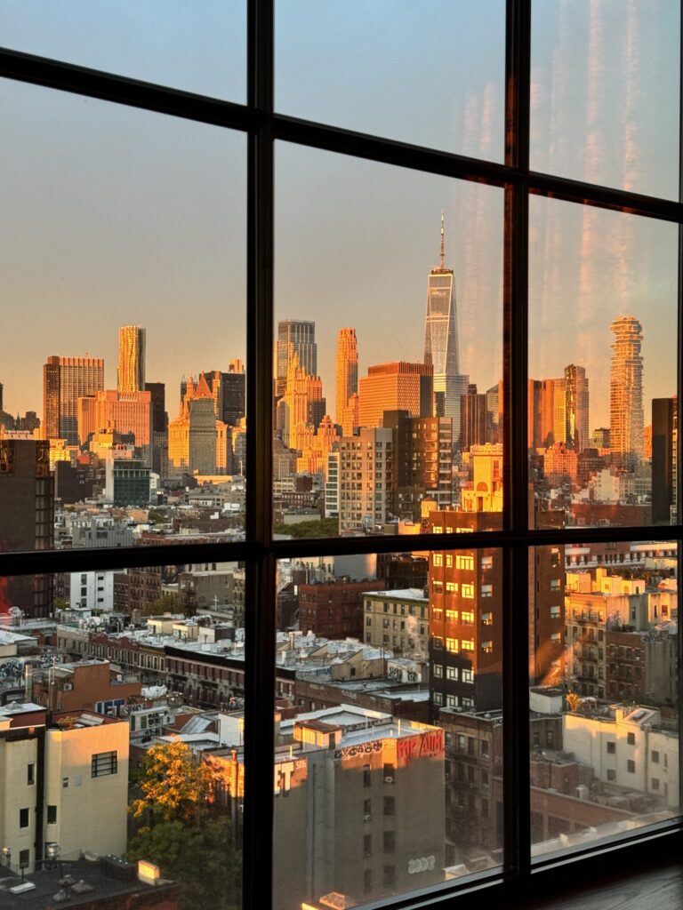 Top Luxury Hotels in NYC | Where to stay in NYC | Best neighborhood to stay at in New York City | Best hotels in New York City | What is the best luxury hotel at a reasonable price to stay at in NYC | Recommended neighborhoods to stay at in Manhattan | Best hotel in Manhattan for Christmas time visits 