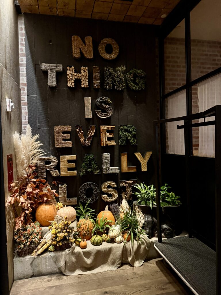 Top Luxury Hotels in NYC | Where to stay in NYC | Best neighborhood to stay at in New York City | Best hotels in New York City | What is the best luxury hotel at a reasonable price to stay at in NYC | Recommended neighborhoods to stay at in Manhattan | Best hotel in Manhattan for Christmas time visits 