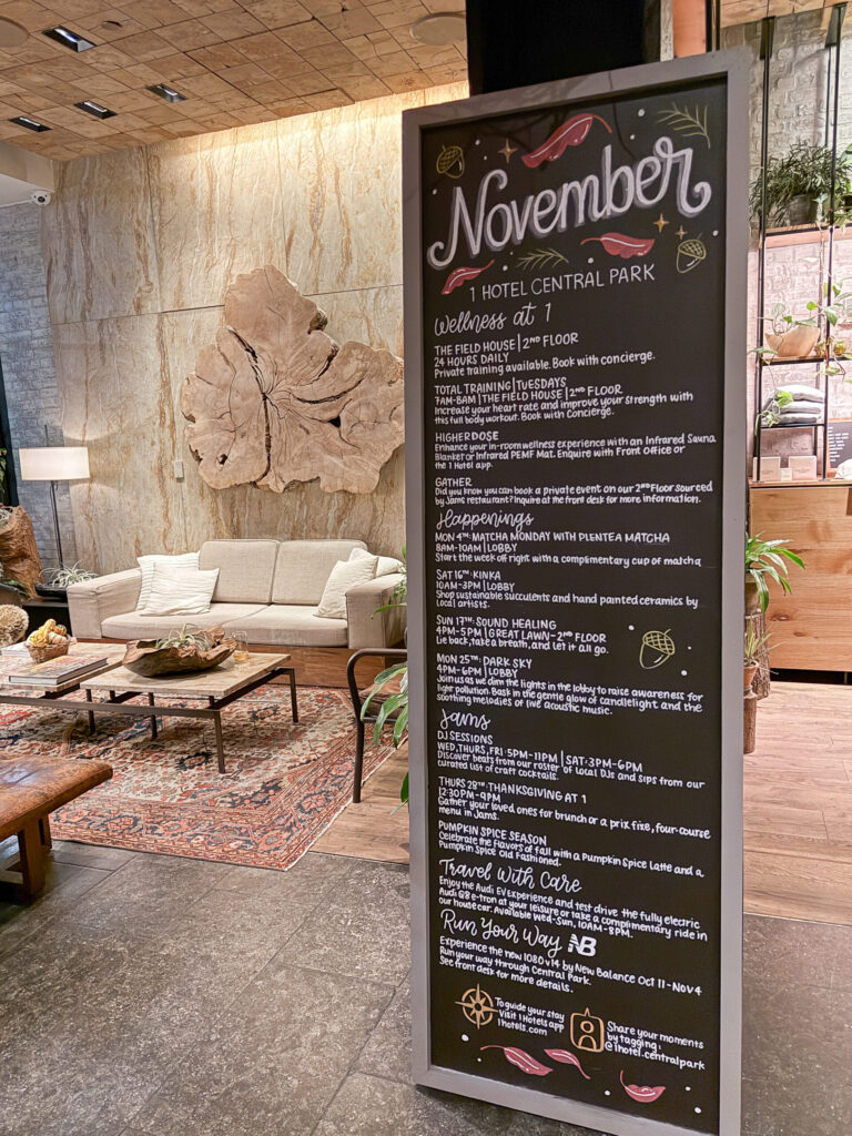 Top Luxury Hotels in NYC | Where to stay in NYC | Best neighborhood to stay at in New York City | Best hotels in New York City | What is the best luxury hotel at a reasonable price to stay at in NYC | Recommended neighborhoods to stay at in Manhattan | Best hotel in Manhattan for Christmas time visits 