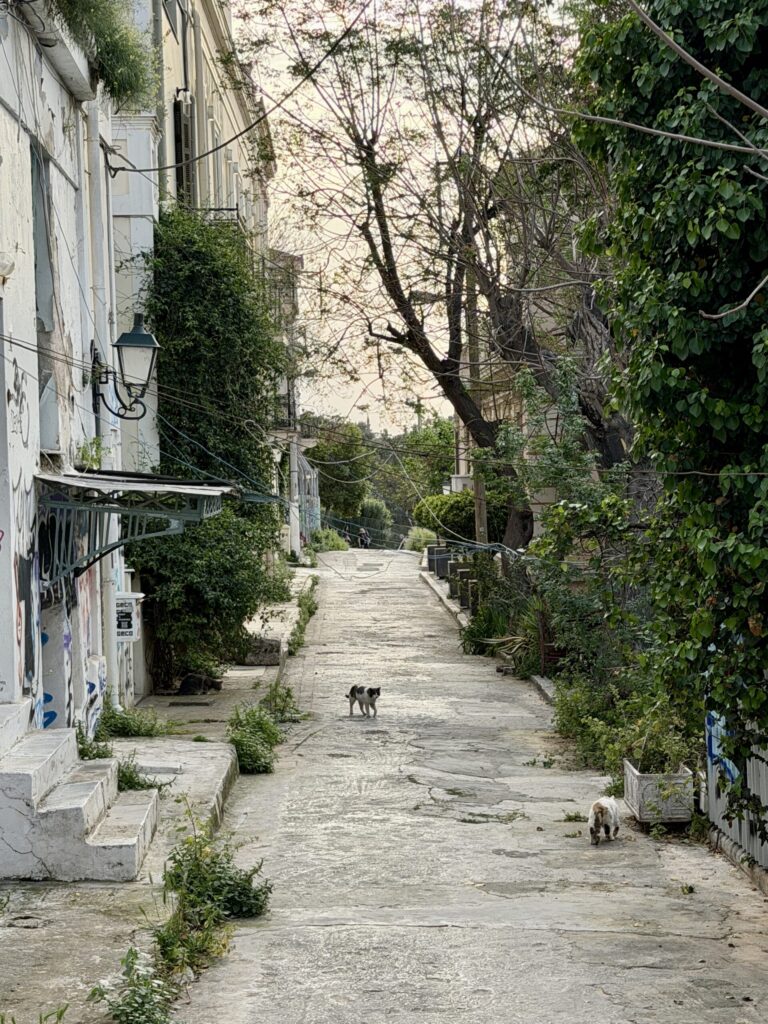 How to spend two spring days in Athens Greece | Best luxury hotels in Athens Greece | Detailed map of Athens Greece | What to see and do in Athens Greece | Where to stay in Athens | Best places to eat in Athens | How many days do you need in Athens Greece | Visiting the Acropolis in Athens | Other things to see in Athens besides the Acropolis | Cute neighborhoods in Athens