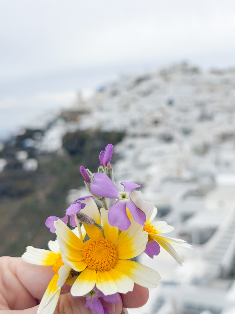 April in Santorini Greece: A Complete Guide | Best luxury hotels in Santorini Greece | Where to stay in Santorini for a quieter slower visit | Where to eat in Santorini | Best restaurants in Santorini | What to do in April in Santorini | Is visiting Santorini in April worth it? | What is open in Santorini in April | How to get to Santorini | Blue Star Ferry vs SeaJets from Naxos to Santorini | Is the Santorini airport easy to navigate  | Should I rent a car in Santorini | Grace Hotel Santorini review | how hard is the Fira to Oia hike? | April in Santorini | Empty nest travels to Greek Islands 
