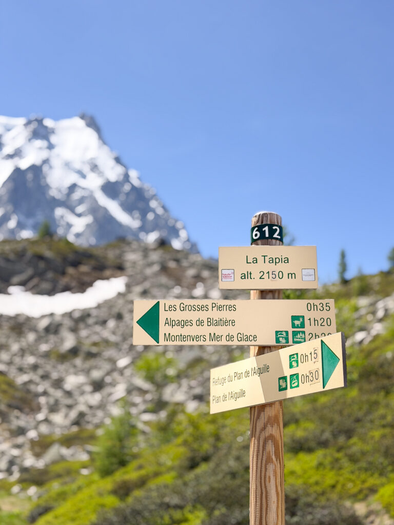 Five summer days in Chamonix France | What to do in Chamonix if you are not doing the Tour du Mont Blanc | Best day hikes in Chamonix | Best refuges (mountain huts) to eat at in the French Alps