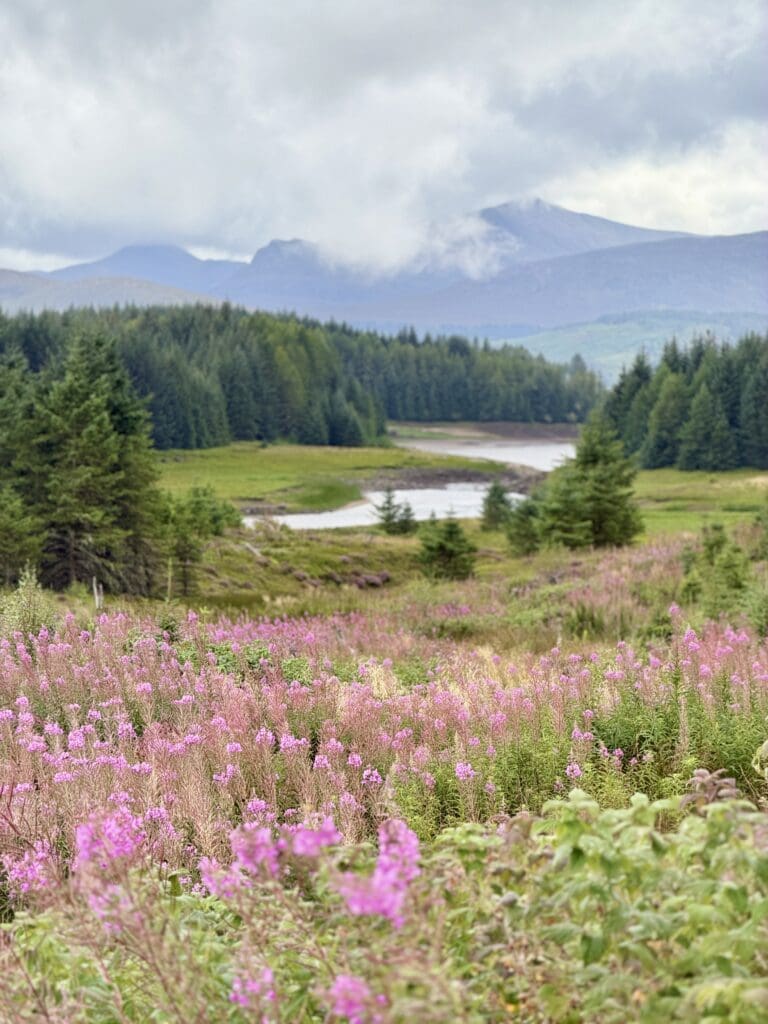 Scottish Highlands Travel Guide: Best things to do near Inverness and Glencoe | Creag Meagaidh National Nature Reserve place to see Highland coos and hike